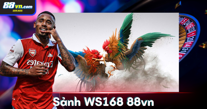 Sảnh WS168 - Sảnh đá gà chất lượng nhất