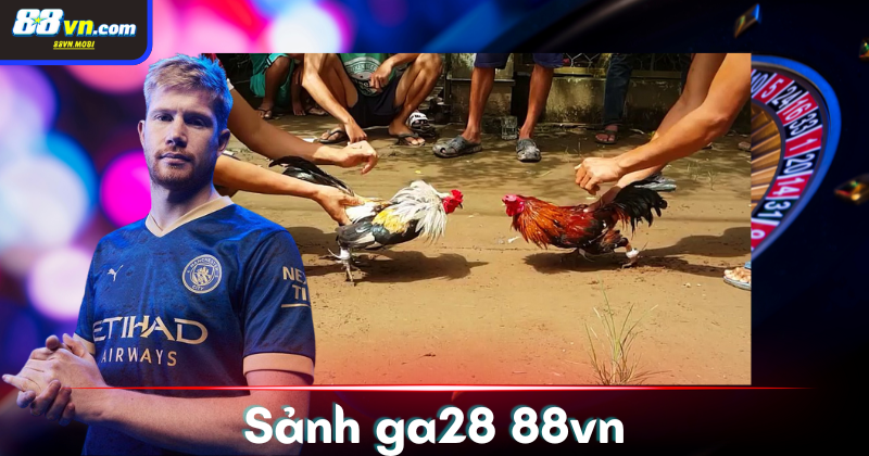 Sảnh Ga28 - Đá gà đổi thưởng hấp dẫn