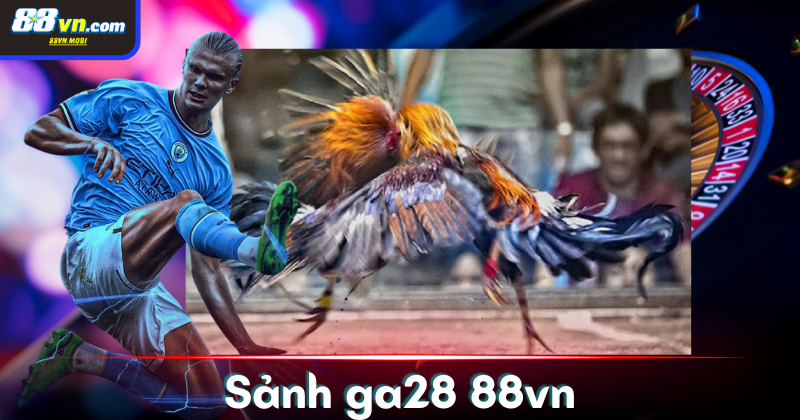 Đá gà Campuchia