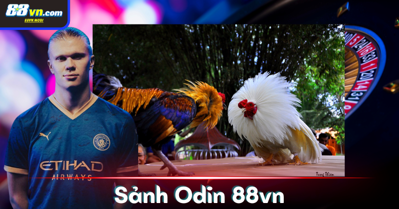 Tại sao sảnh Odin tại 88vn lại được yêu thích đến như vậy?