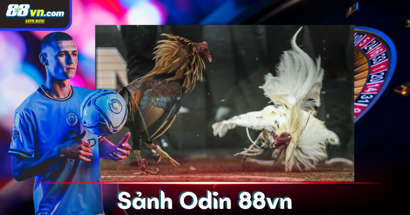 Lưu ý quan trọng khi tham gia sảnh Odin mà newbie cần biết